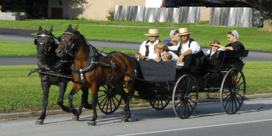 Do the Amish Celebrate the 4th of July? A Look at Traditions & Beliefs