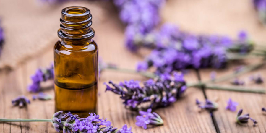 Lavender Essential Oil: Exploring its Spiritual Benefits